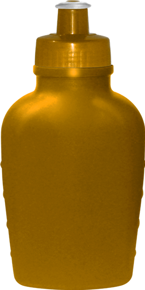 Imagem de Cantil 500mL