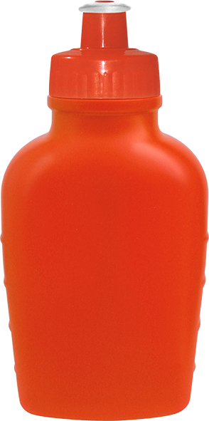 Imagem de Cantil 500mL