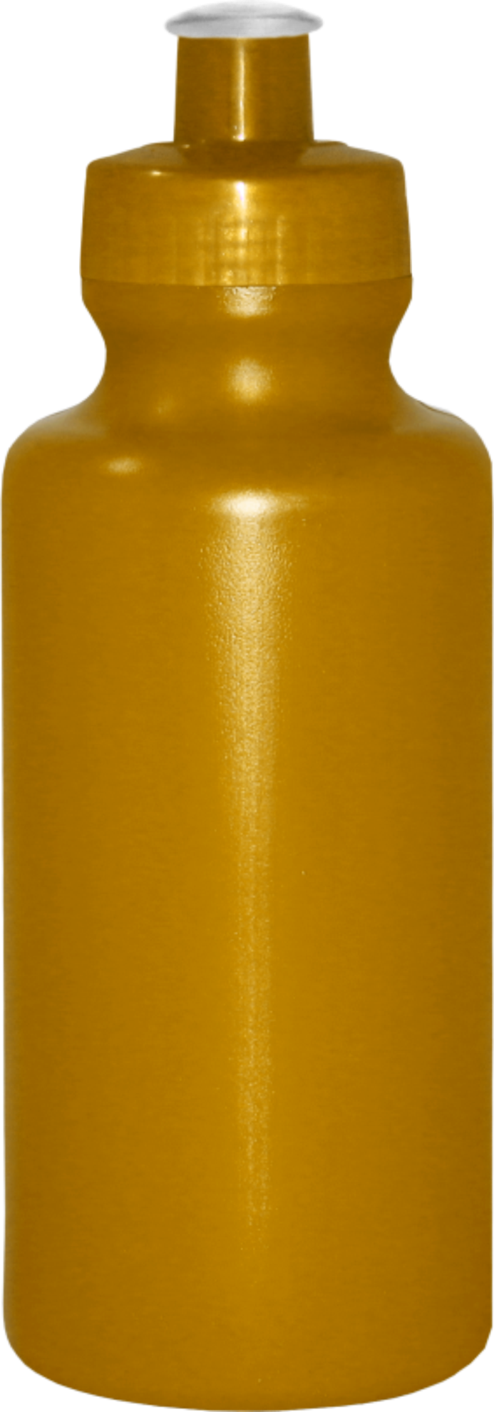 Imagem de Squeeze 550 mL