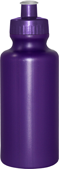 Imagem de Squeeze 550 mL