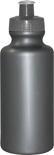 Imagem de Squeeze 550 mL