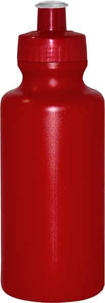 Imagem de Squeeze 550 mL