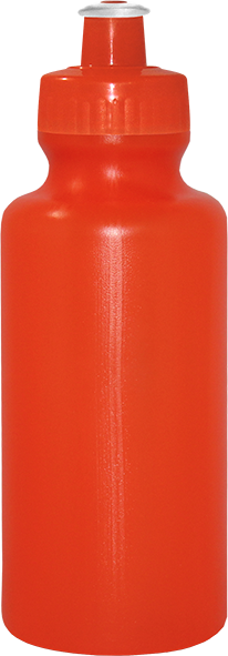 Imagem de Squeeze 550 mL