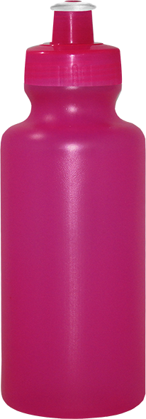 Imagem de Squeeze 550 mL