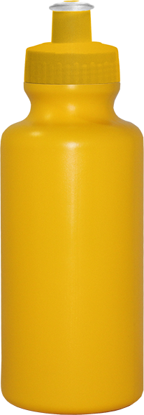 Imagem de Squeeze 550 mL