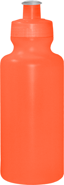 Imagem de Squeeze 550 mL