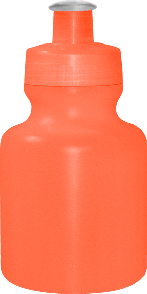 Imagem de Squeeze 300 mL